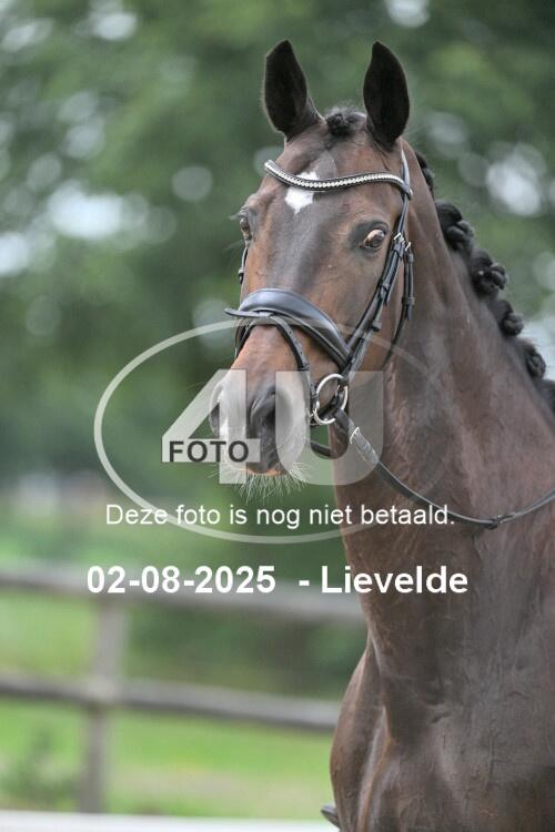 250802 1757