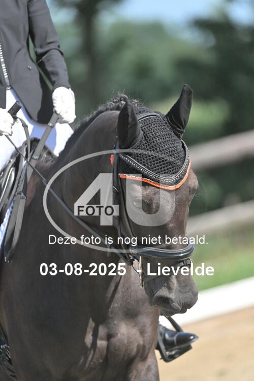 250803 0270