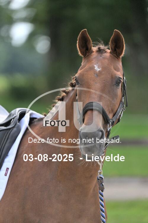 250803 0679