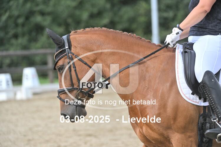 250803 1491