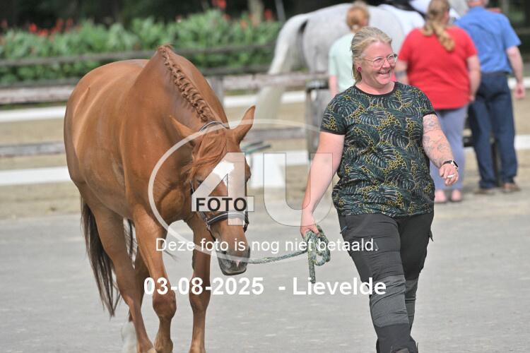 250803 1592