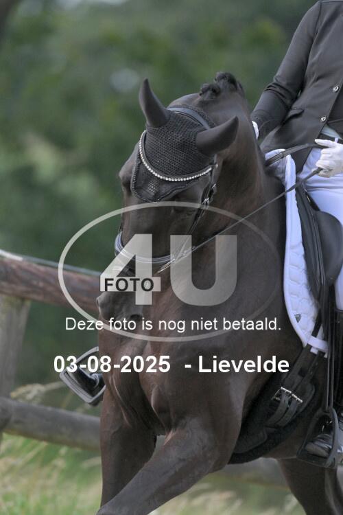 250803 1813