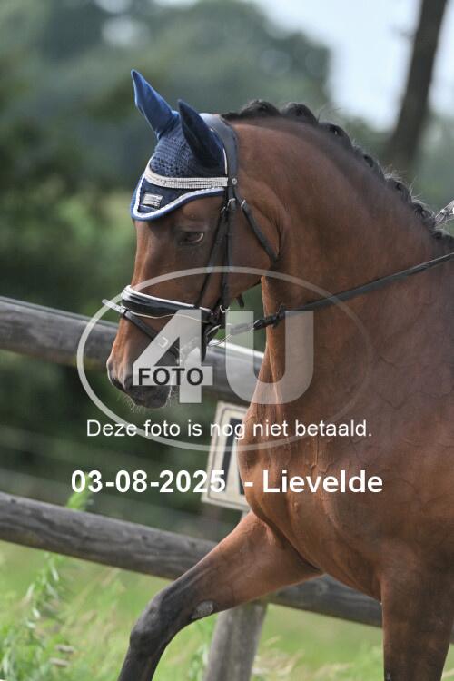 250803 1941