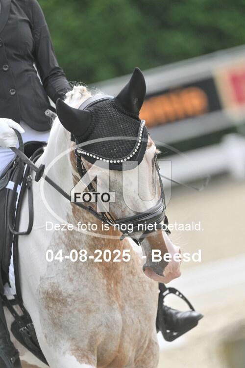 250804 0442