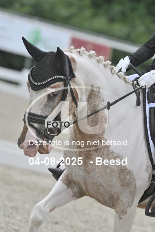 250804 0453