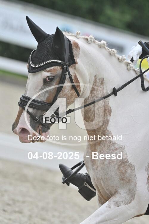 250804 0455