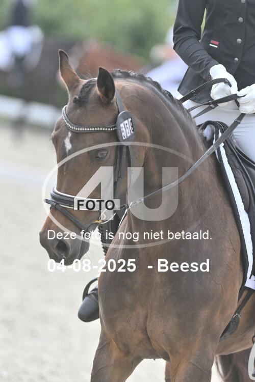 250804 0560
