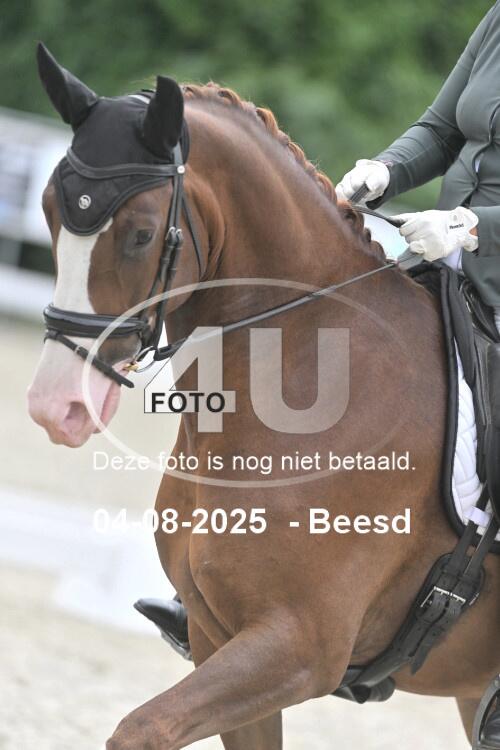 250804 0672