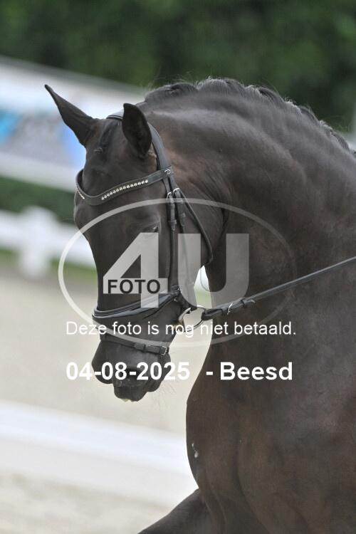 250804 0766