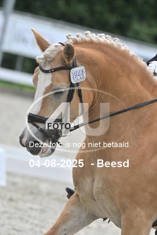 250804 0822