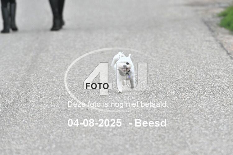 250804 0875
