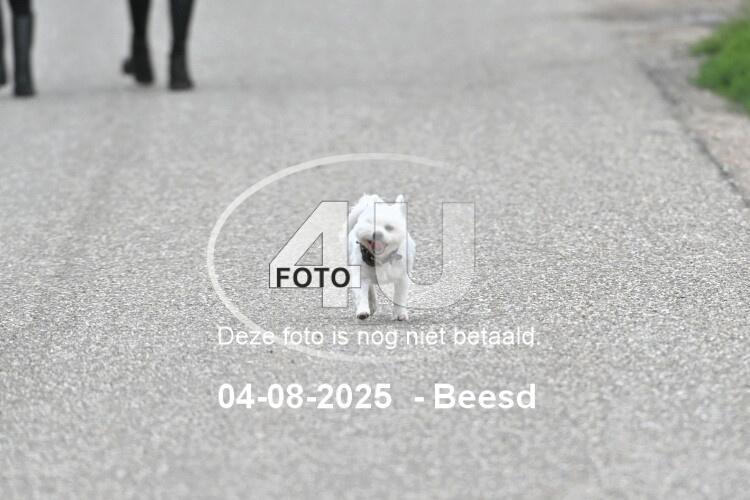 250804 0877