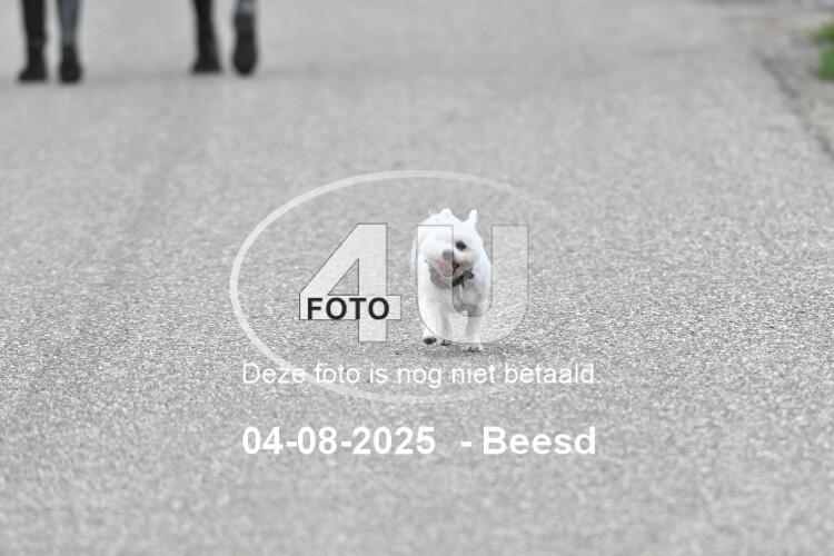 250804 0878