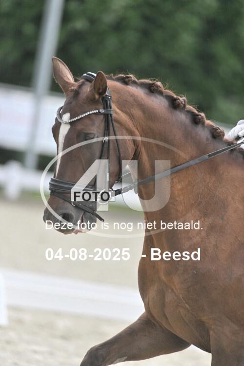 250804 1175