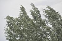 250804 1129