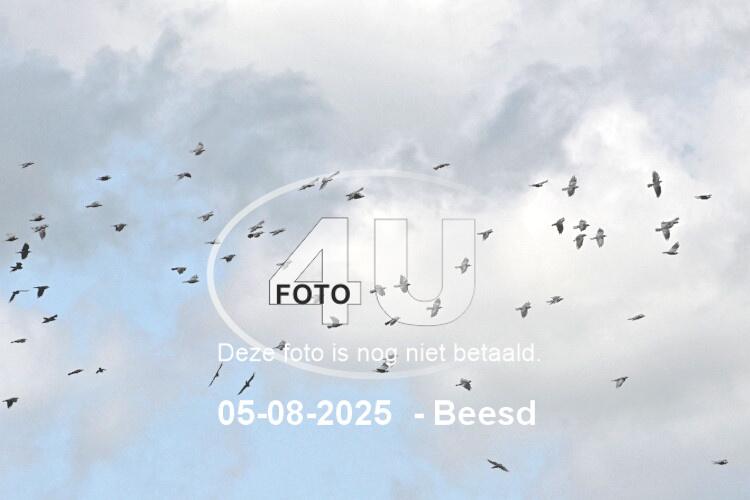 250805 1278