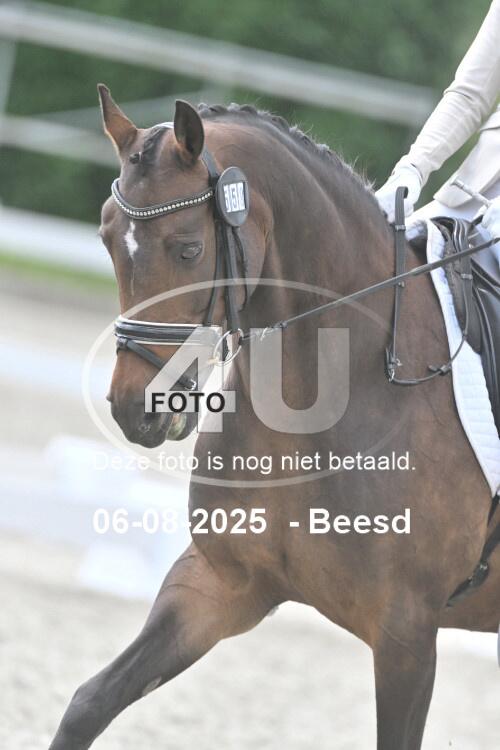 250806 0409