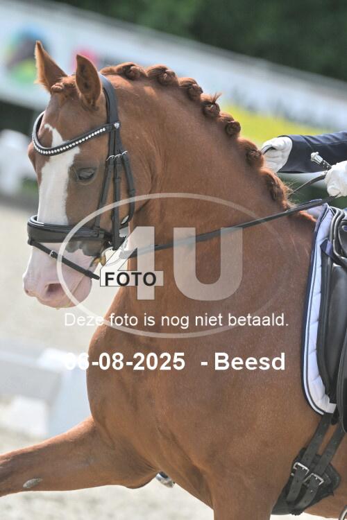 250806 0441