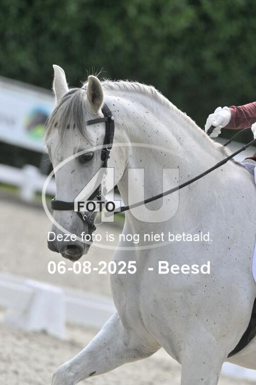 250806 1151