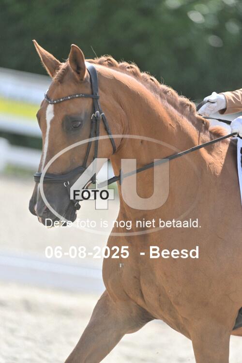 250806 1285