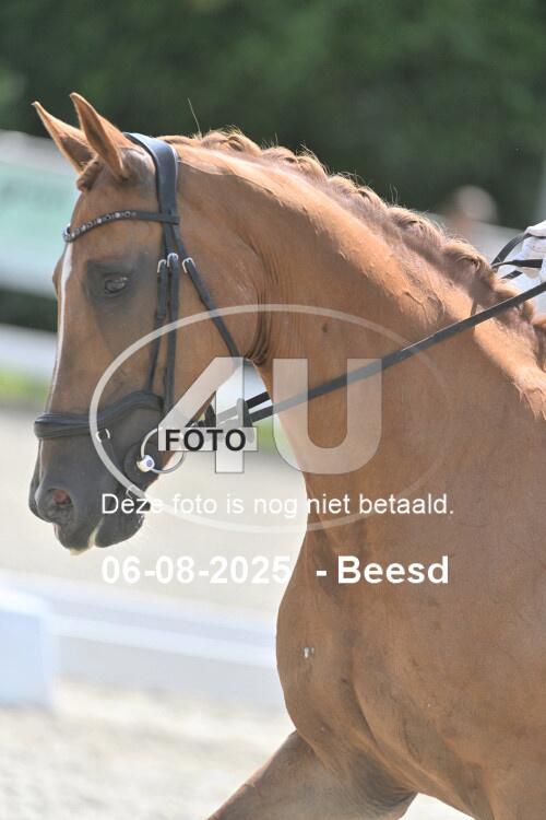 250806 1286