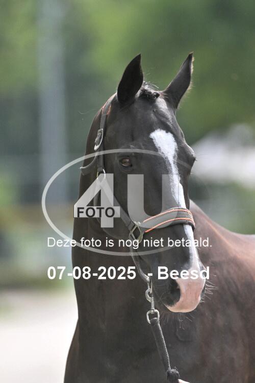250807 1265