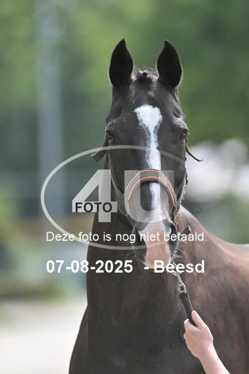 250807 1267