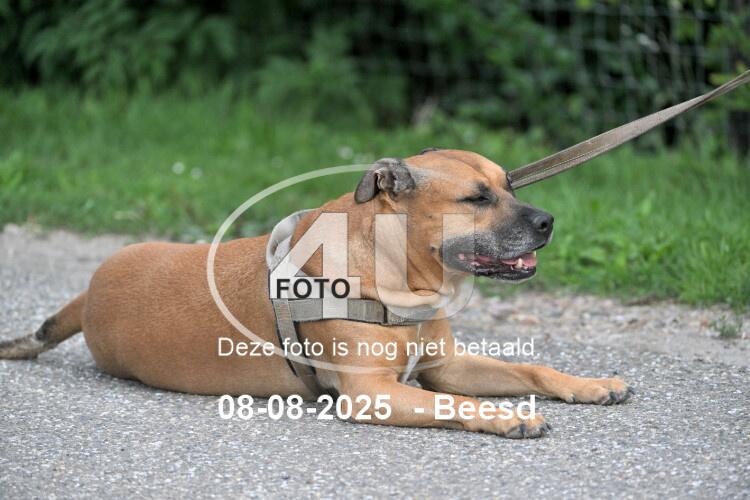 250808 0240