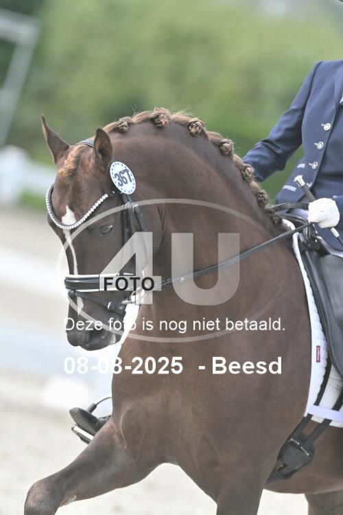 250808 0311