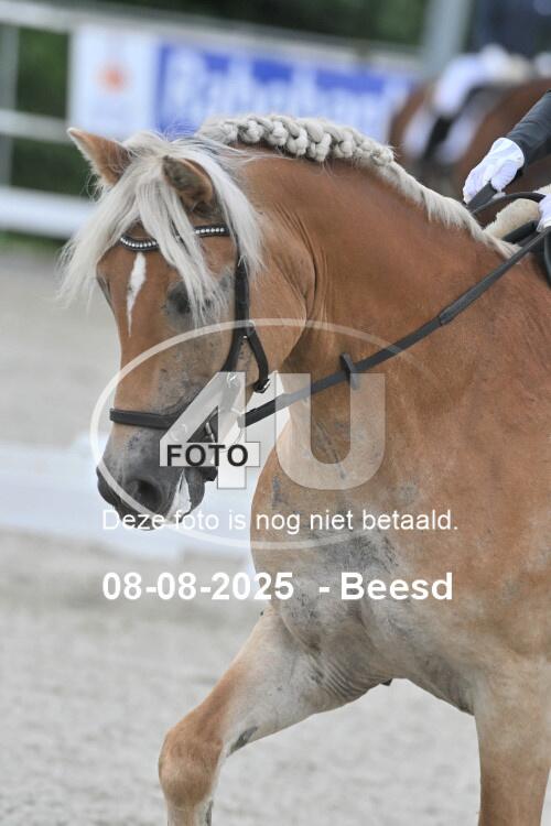 250808 0889