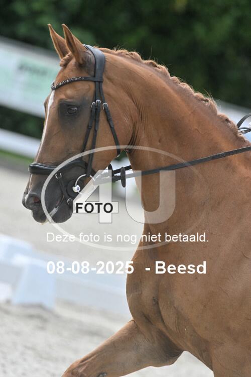 250808 0942
