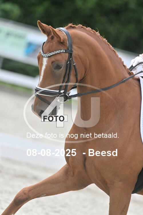 250808 1033