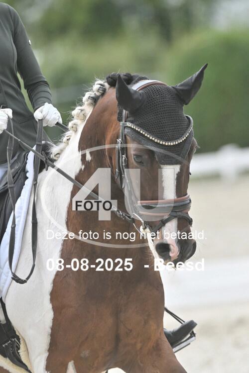 250808 1956