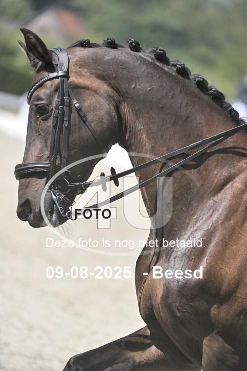 250809 1699
