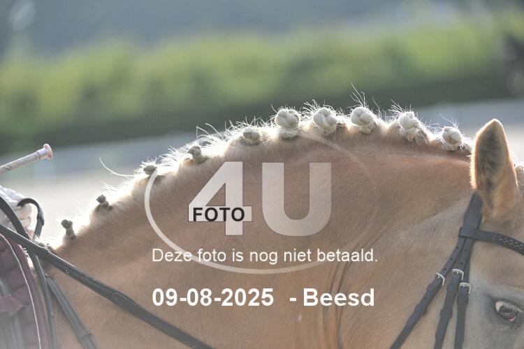 250809 2939