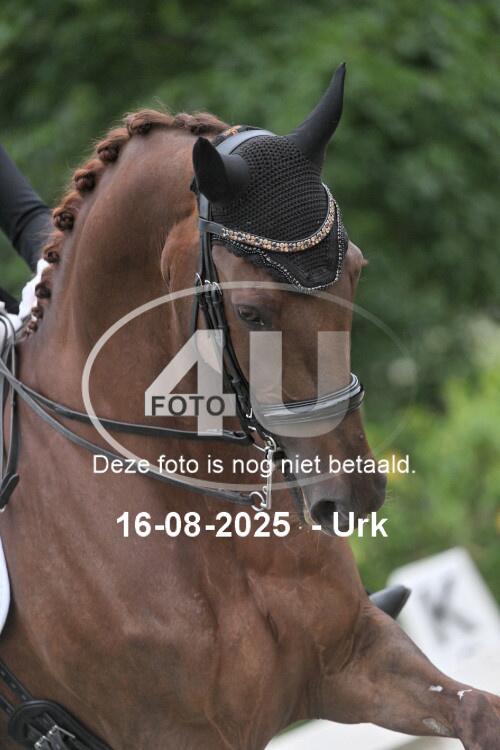 250816 0006