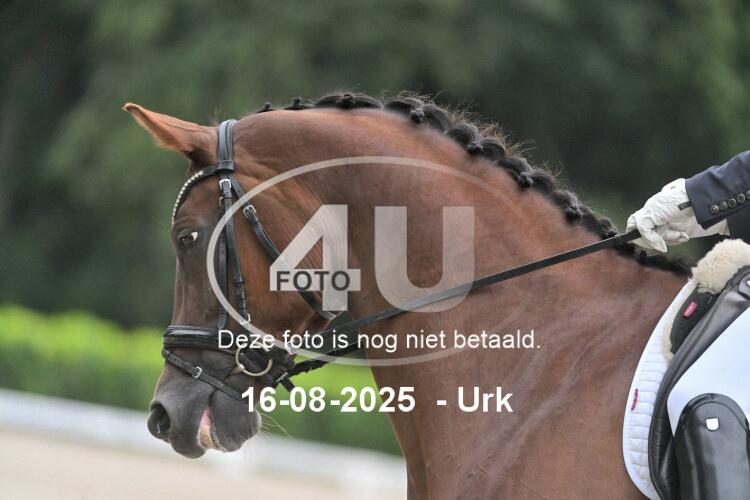 250816 0033
