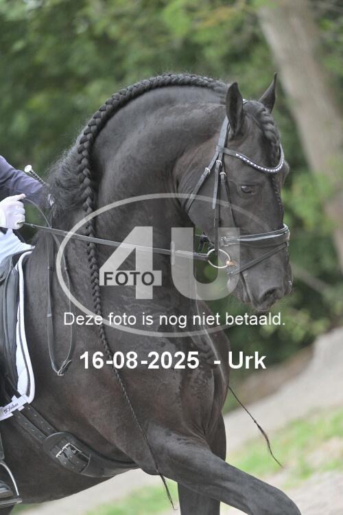 250816 0640