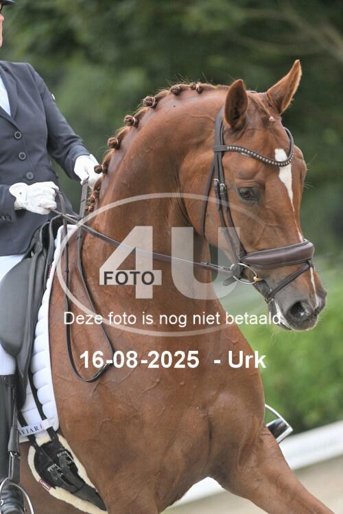 250816 0844