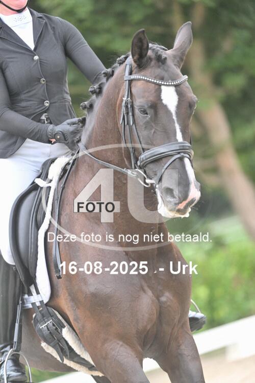 250816 0962
