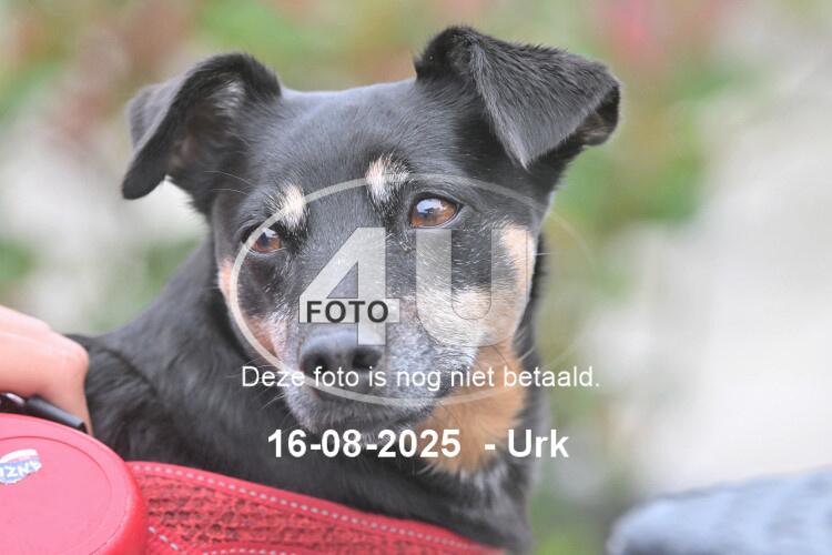 250816 0973