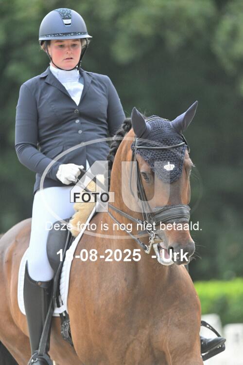 250816 0996