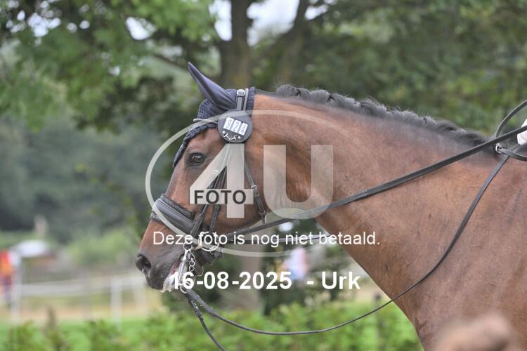 250816 1036