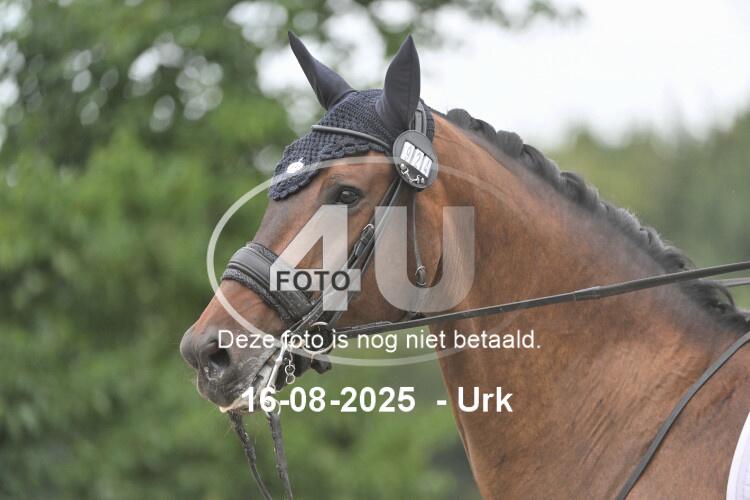 250816 1124