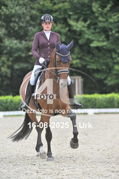 250816 1191
