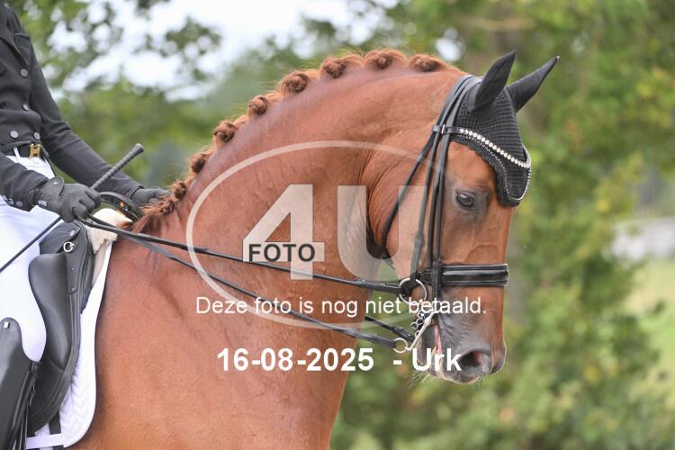 250816 1330