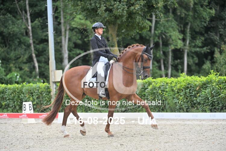 250816 1362