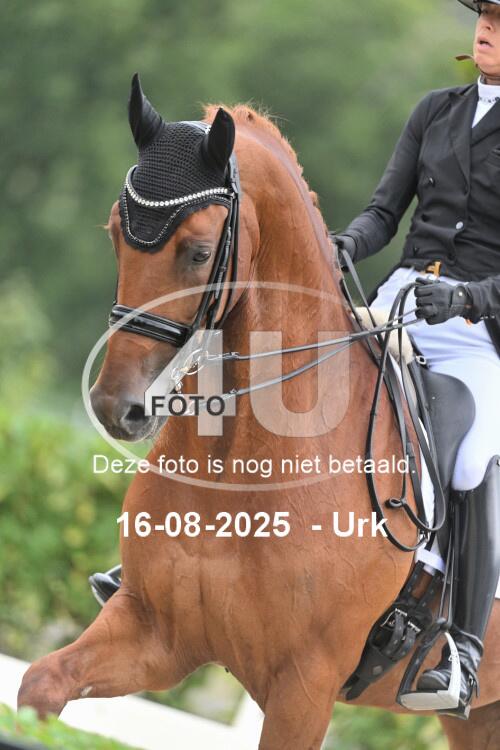 250816 1364