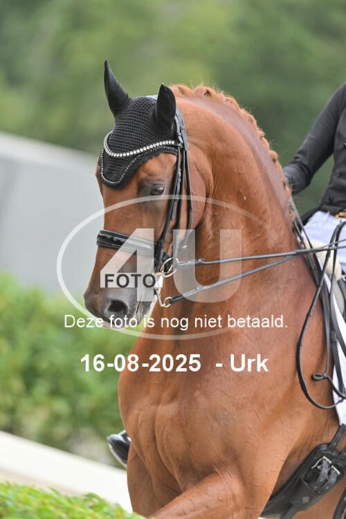 250816 1365