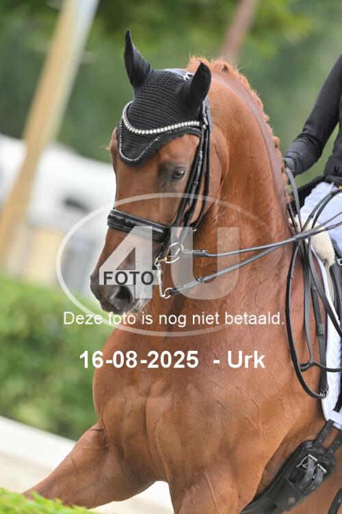 250816 1366